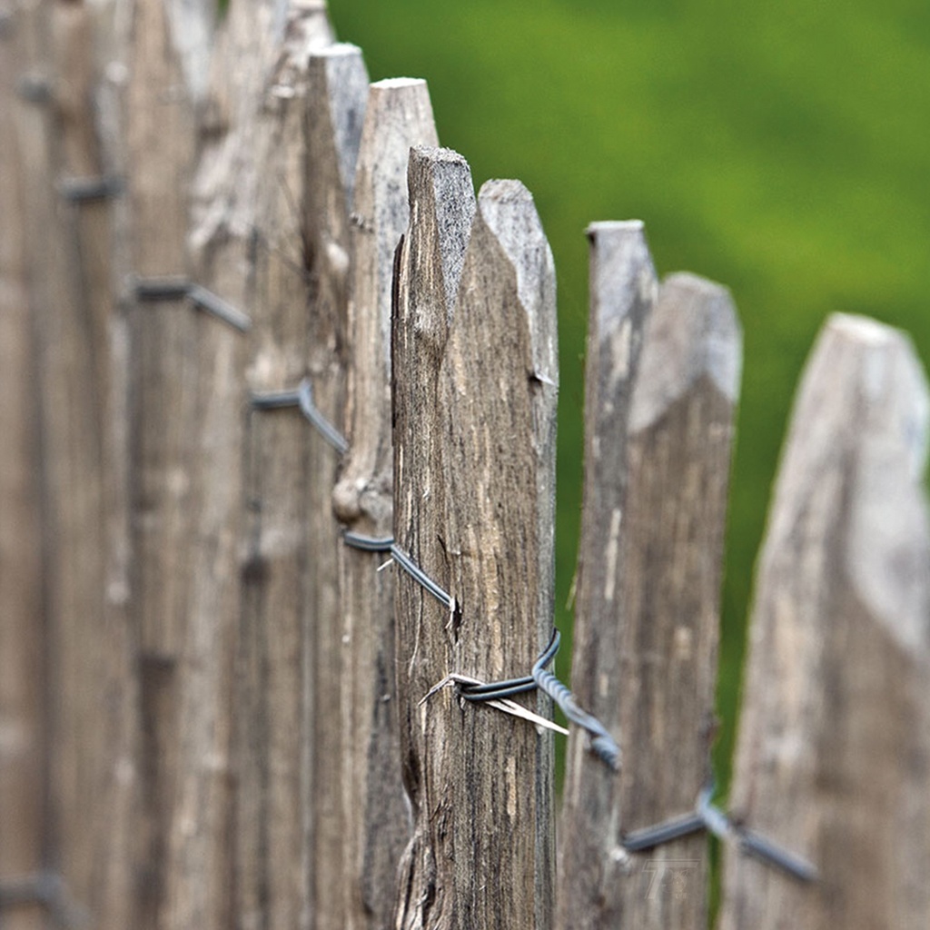 tuindeco:https://tuindeco.com/media/67/75/16/1733995870/675aad5e6fcef-ad38afba26609e1de8e51d9cf3d234af313509ca_grpitm_tdi_v01_chestnut_fence_3wires_50mm_F_v01_0_202112.jpg