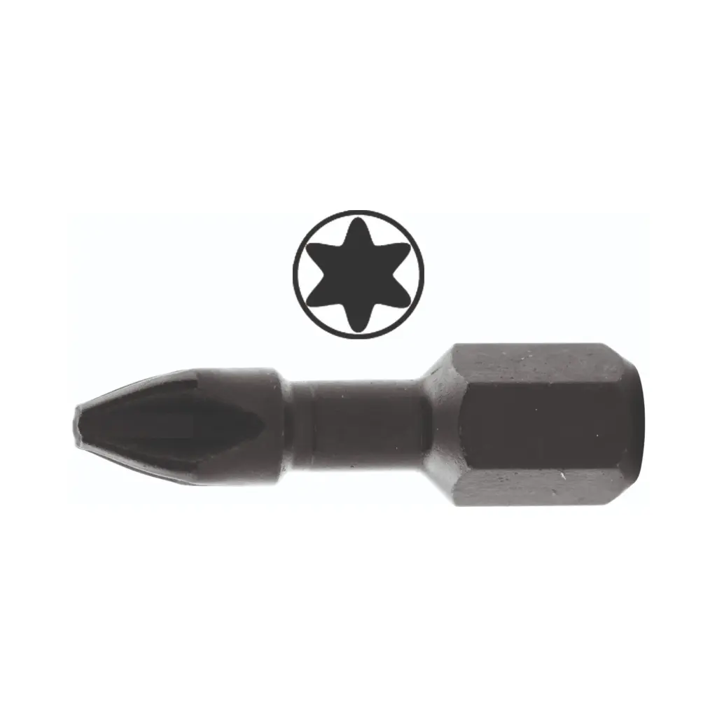 [HK002049] Bits Torx 20 25mm (10 stuks)